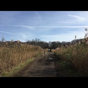 Meet your Posher, Evelyn